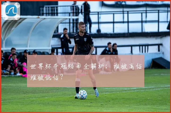 世界杯夺冠赔率全解析:谁被高估谁被低估?